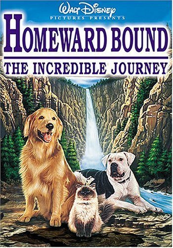 homeward bound movie review