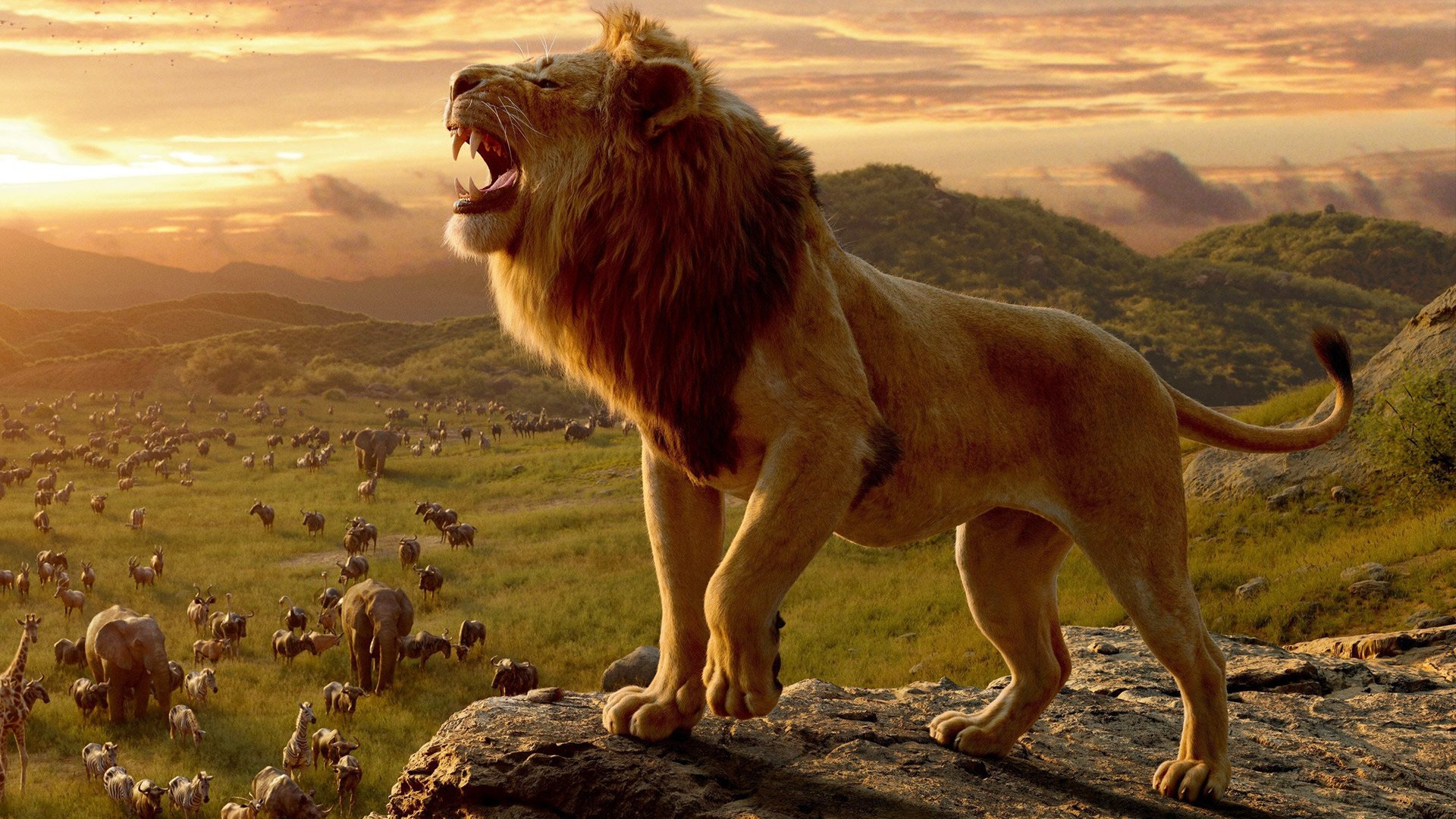 How The Lion King 19 Helps Us All Remember Who We Are
