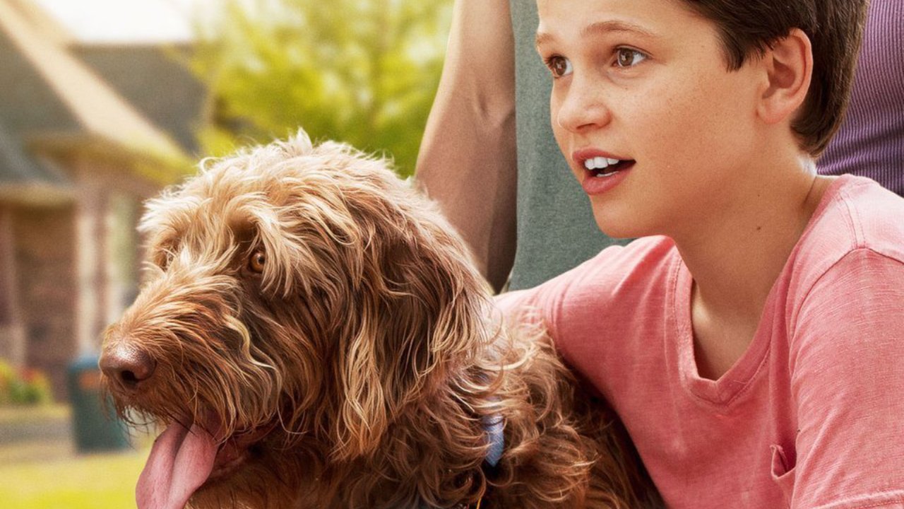 THINK LIKE A DOG - Movieguide | Movie Reviews For Families