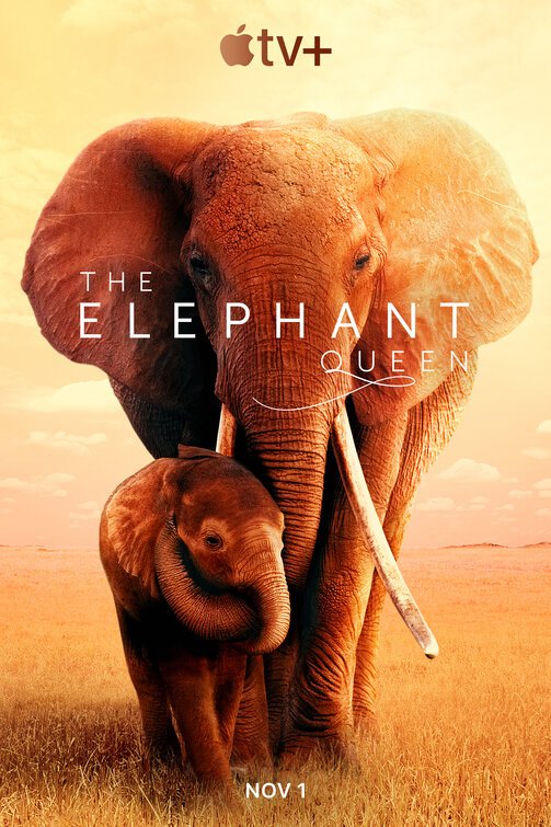 elephant queen movie review