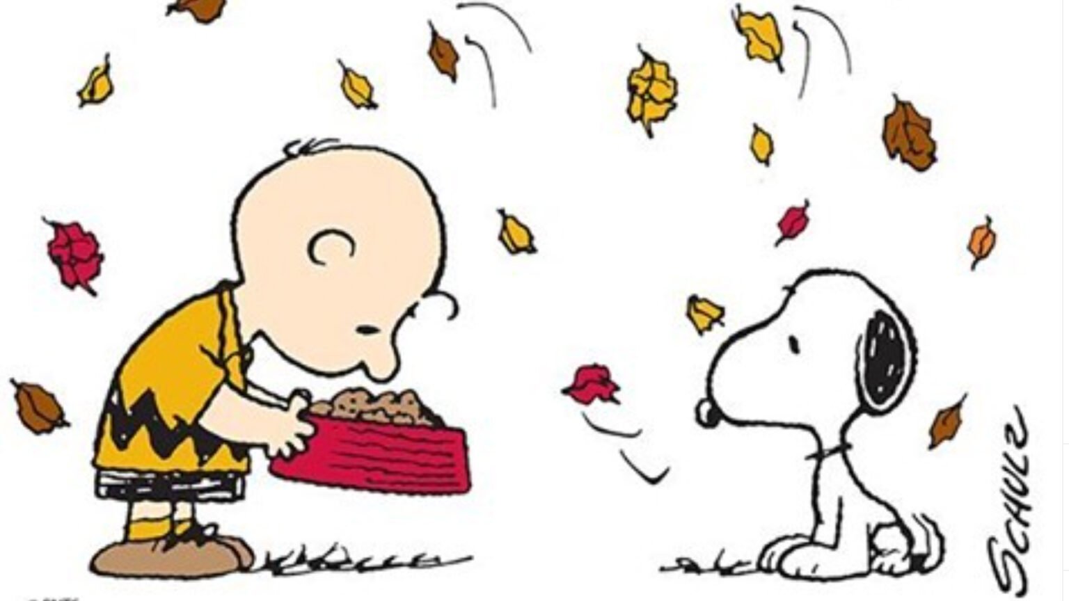 Don't Miss A CHARLIE BROWN THANKSGIVING, Returning To TV