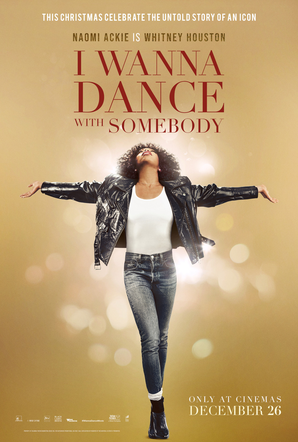 movie review for i wanna dance with somebody